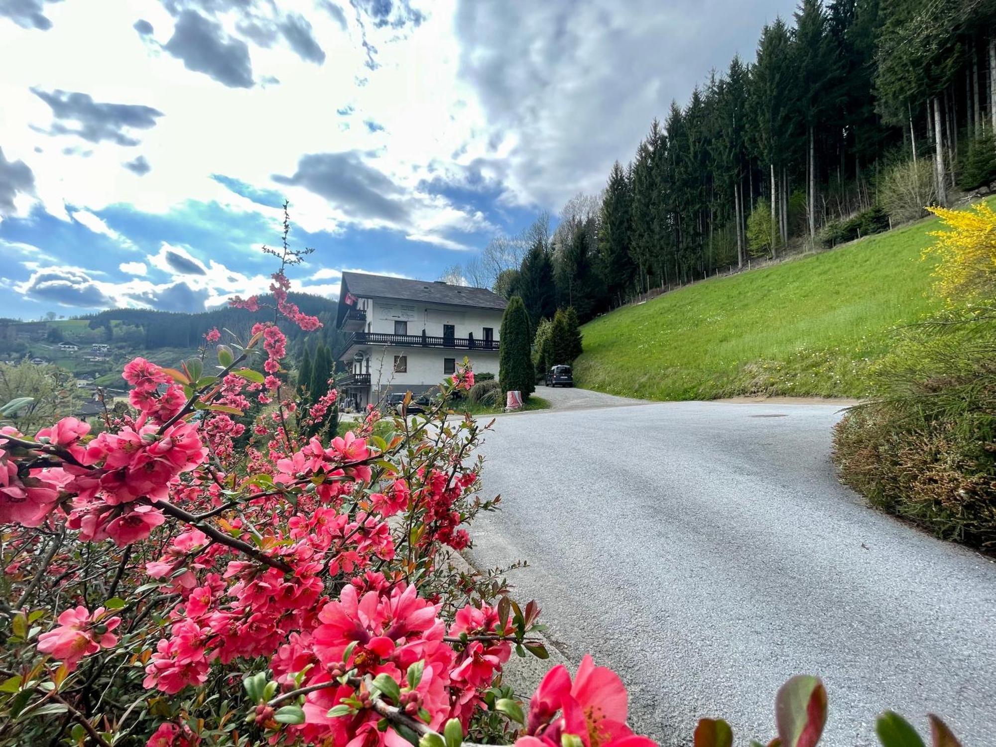 Alpenpension Gasthof Ratten Buitenkant foto